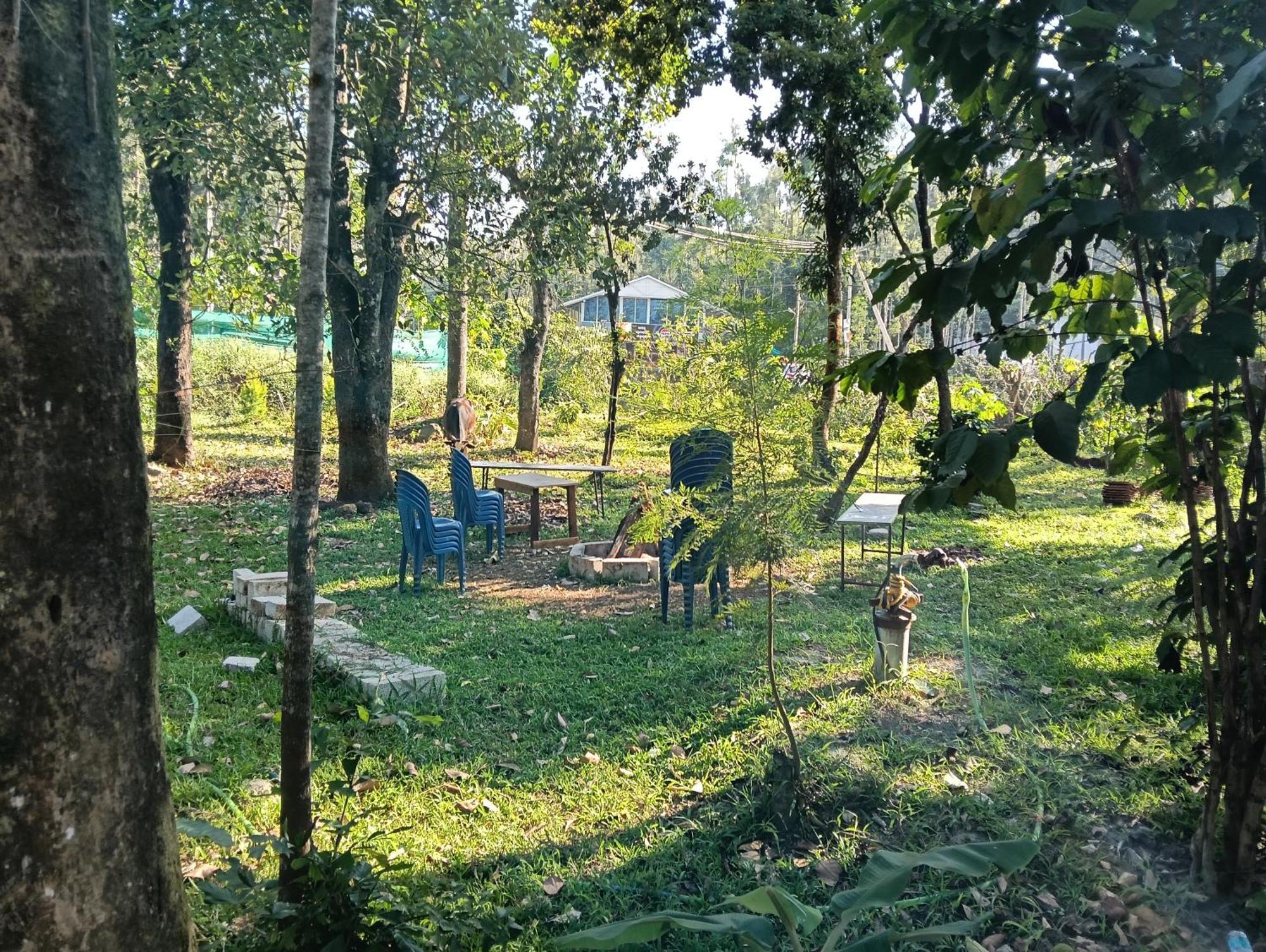 Pepper Tree Homestay Attigundi Ngoại thất bức ảnh